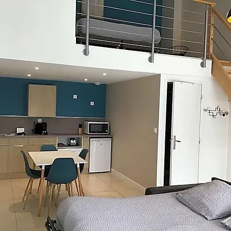 Otel Domaine Du Beron - Chateau Et 3*